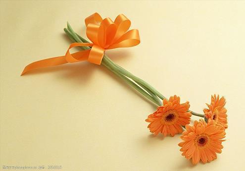 元宵暖心祝福语经典