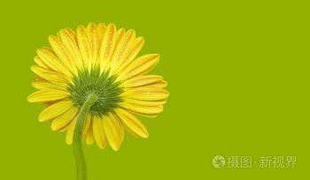 经营快乐的八大原则