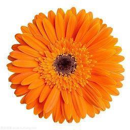 平安快乐的法则：选择正确的思想