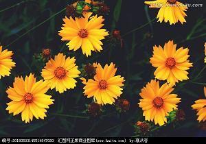 燂