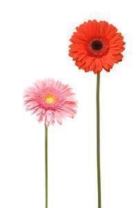 最新的创建文明城市宣传标语大全