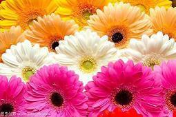 离婚后的朋友圈感言说说心情