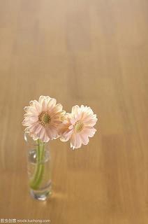 回忆美好时光心情短语 时光匆匆划过，这只是我的人生的一个转