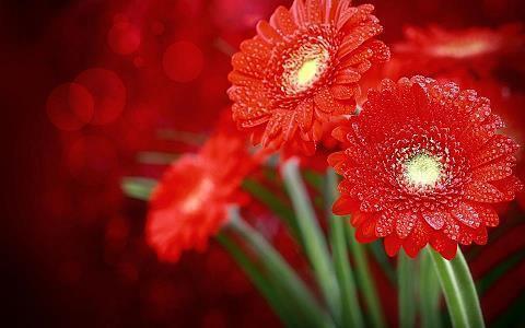 快疯了心情崩溃的说说