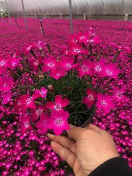 最新的描写生气的句子大全