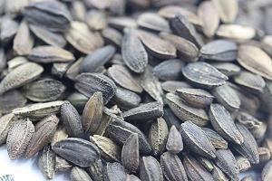 唯美的爱情短句子 等待爱，也许不知道爱谁，但等的是它，爱