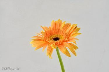 清明节过后上班祝福语
