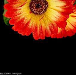 贫患
