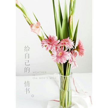形容美女的诗句_形容姿势的诗句