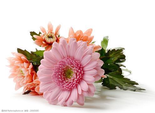 教师节祝福语简短语句(精选56条)