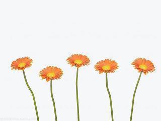 描写撒哈拉大沙漠的句子30条