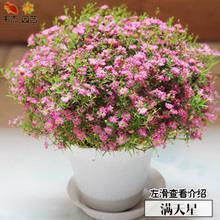小说中唯美伤感的句子