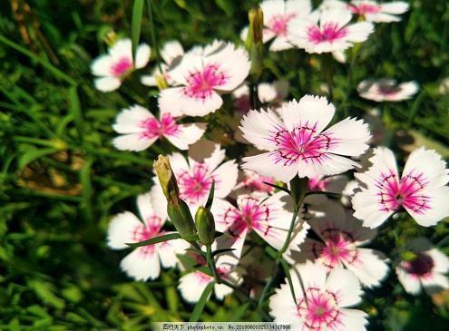 【精品】2021年的青年节经典祝福推荐90句