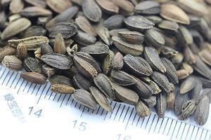 推心置腹的好句子22条