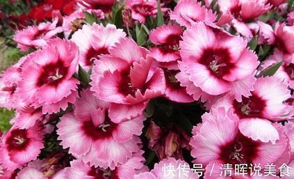 2021母亲节贺卡祝福语大全简短合集78句
