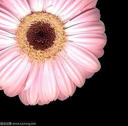 請