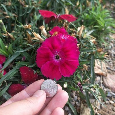 暖心的小确幸句子 一句特别暖心的话简短