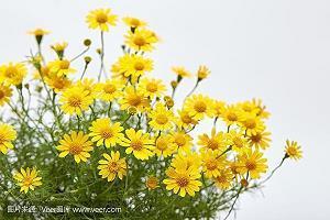 七夕节给老婆的祝福短信