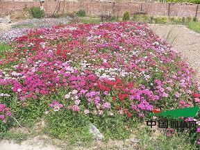 心灵鸡汤名言50句