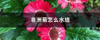 有诗意的短句六七个字 7个字有诗意超押韵的网名唯美点