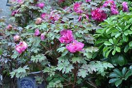 铸辞