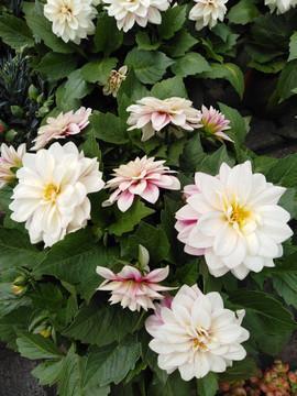 好好学习的深度好文：学无止境