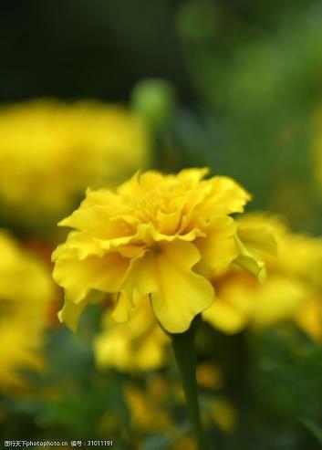 教师节感恩祝福语简短