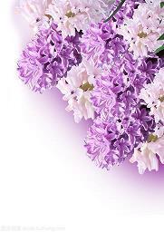 白露时节发给父母的经典祝福短信(精选70条)