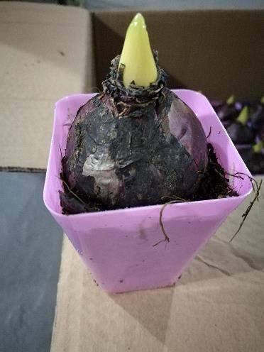 老同学聚会朋友圈说说