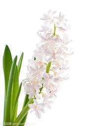 春节祝福语2022最火简短(精选78条)