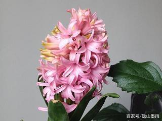 圣诞节祝福贺卡