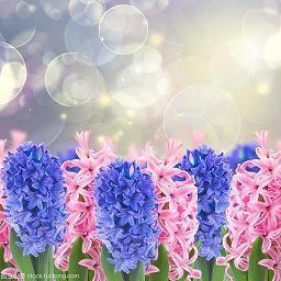 适合发朋友圈的精彩句子16句，句句心动
