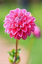 祝自己教师节快乐的说说幼师 幼师教师节对自己的祝福