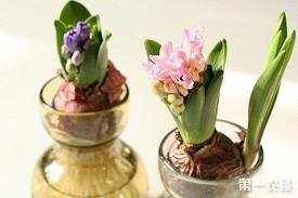 520暖心情话文案大全