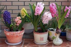 想念幼儿园的唯美句子