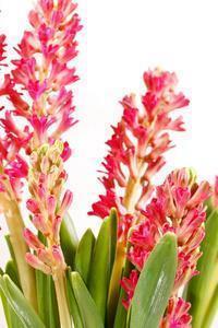 担心的反义词近义词，担心造句_绝句古诗近反义词