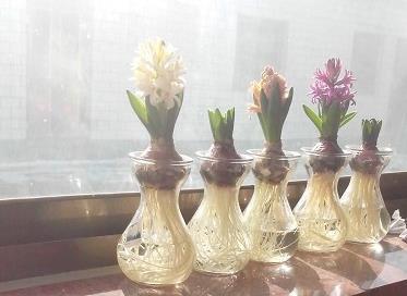 用东山再起造句大全