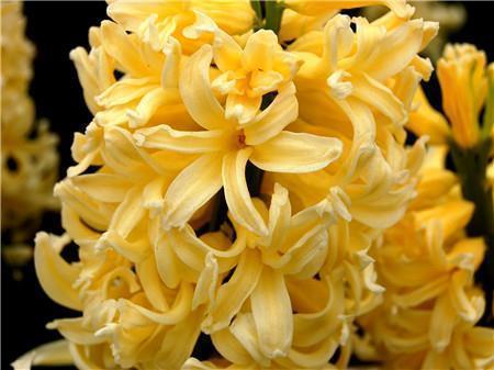 创新科技 创领人生 感受沃尔沃品牌体验日