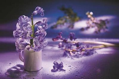 中秋节祝福语送客户精选(精选66条)