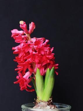 生日感慨发朋友圈 关于生日朋友圈说说(精选34句)