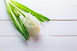 闺蜜留言暖心话简短