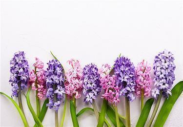 牛年春节祝福语顺口溜2021年