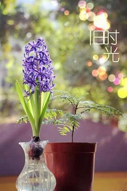 很甜很撩的句子一句话打动人心