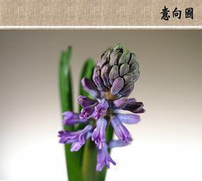 描述公子的优美句子