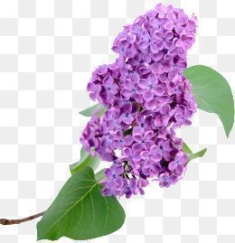 劳动节经典谚语和祝福文案汇总81句