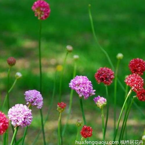 从李谷一《乡恋》说起，罗列春晚25年的经典语录