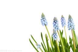 幼儿园教师节简短祝福语精选(精选61条)