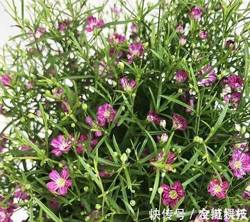 激励初三学生的句子