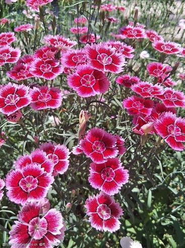 愚人节恶搞整人短信大全