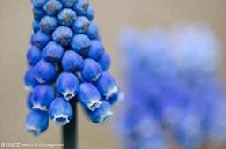 积极向上的小短文二百字   读书以过目成诵为能，最是不济事